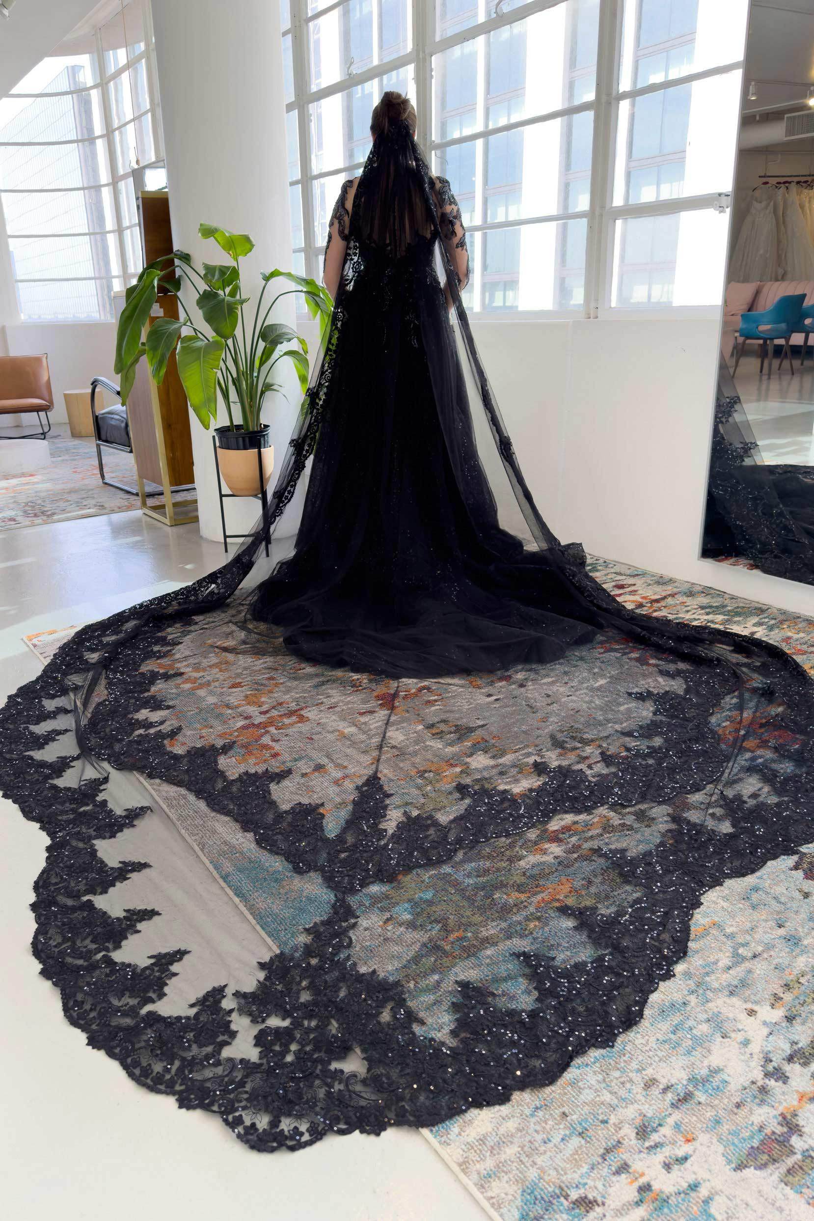 One-tier Lace Edge Tulle Cathedral Veils with Appliques CV0340 - COCOMELODY